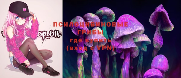 соль ск Белокуриха