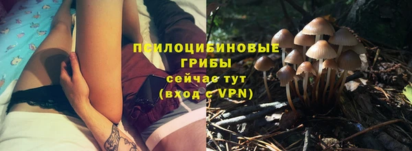 соль ск Белокуриха