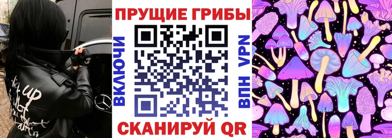 продажа наркотиков Болхов Галлюциногенные грибы Psilocybine cubensis
