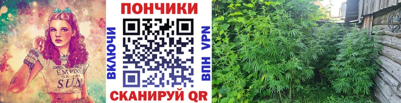 Бошки марихуана THC 21% Болхов